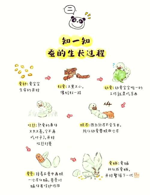 还价技巧蚕食，还价方法-图1