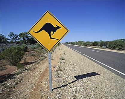 创意澳大利亚-图3 创意澳大利亚-图3