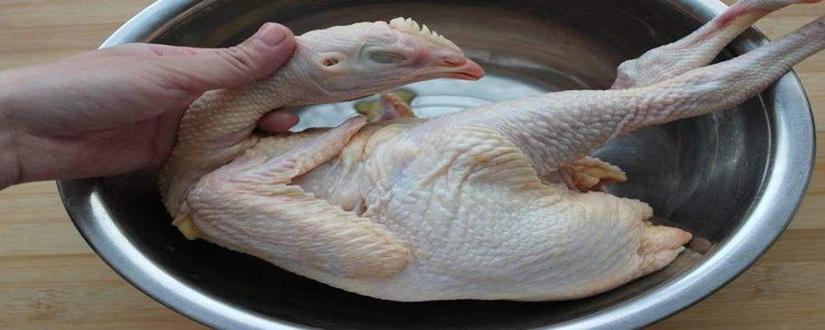 退鸡毛技巧-图3