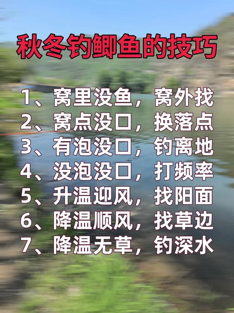 秋分后钓鱼技巧-图1 秋分后钓鱼技巧-图1