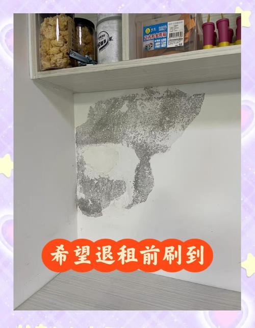 去墙皮技巧-图3 去墙皮技巧-图3