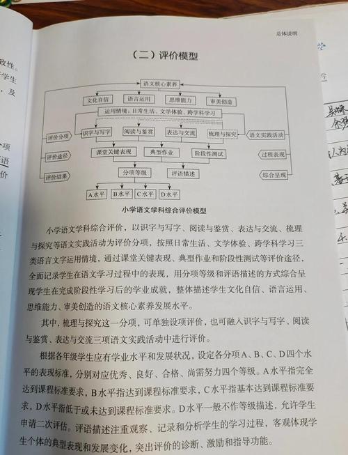小学语文评课技巧与方法有哪些？-图2