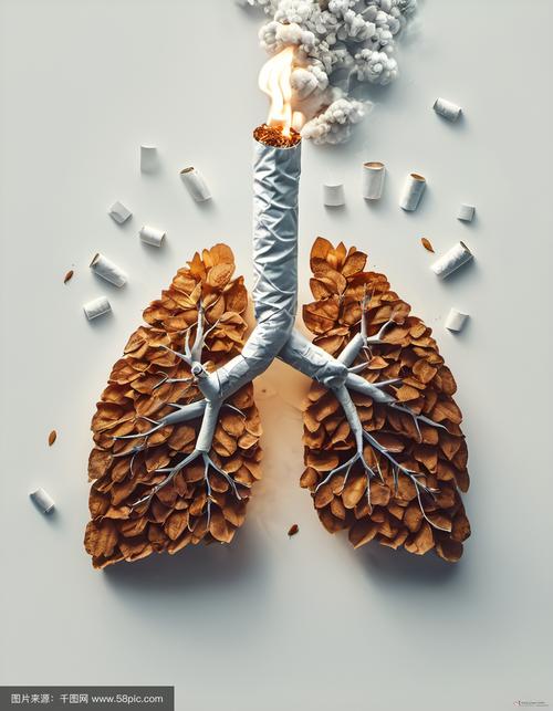 烟与肺创意图，是警示还是艺术？-图2