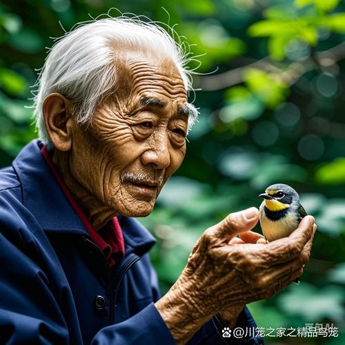 老人创意摄影-图2 老人创意摄影-图2