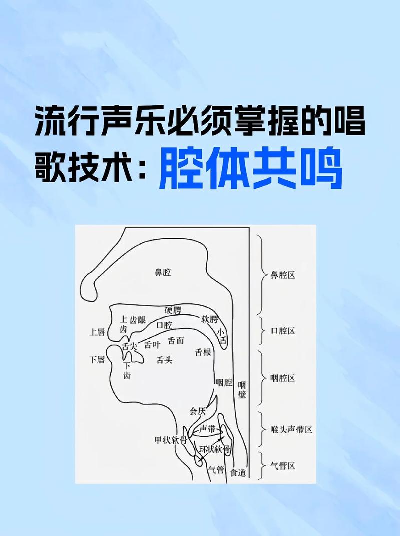 唱歌技巧的理论-图2 唱歌技巧的理论-图2