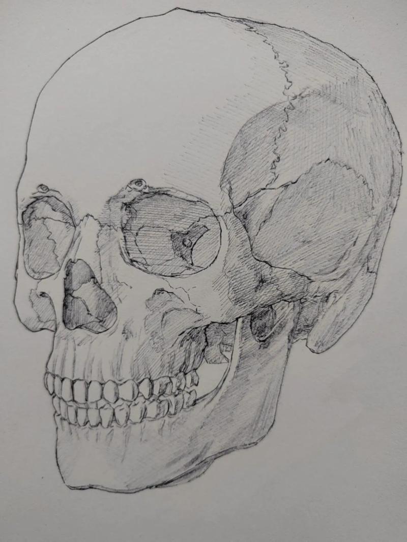 头骨创意绘画如何突破传统素描的边界？-图2
