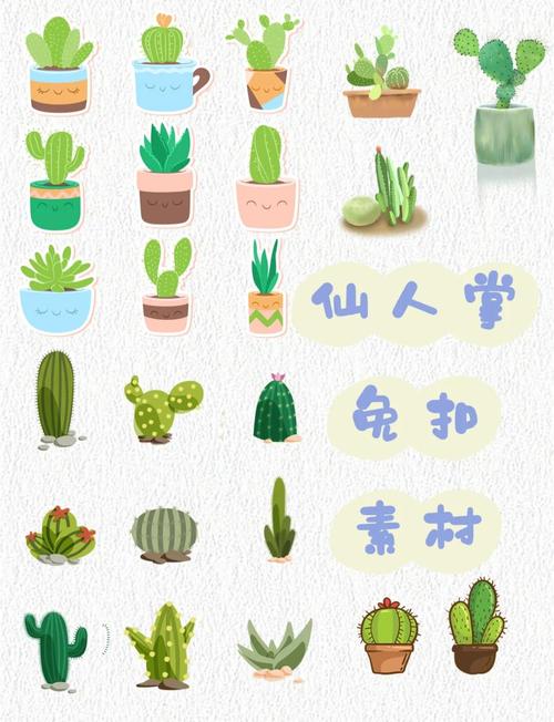 仙人掌创意设计-图1 仙人掌创意设计-图1