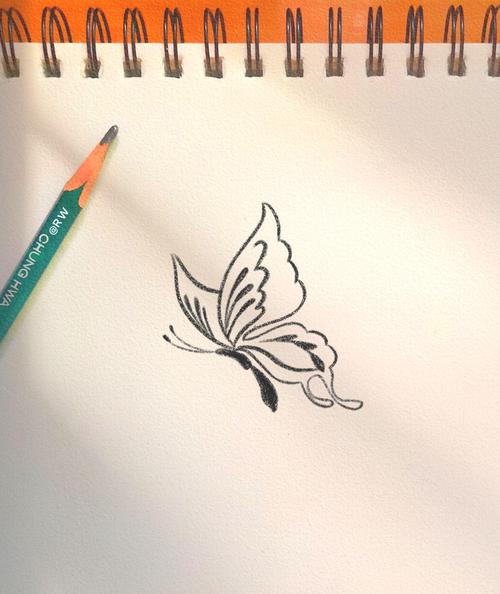 简笔画蝴蝶怎么画才创意？-图2