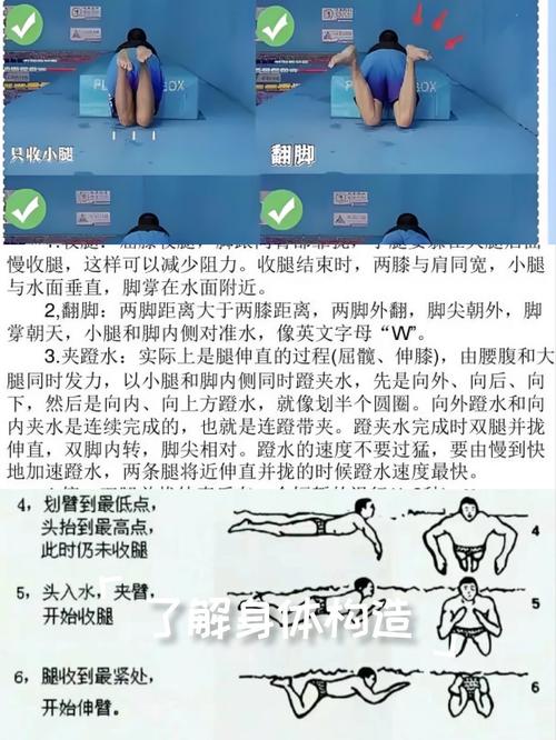 蛙泳腿怎么游才标准有力？-图1
