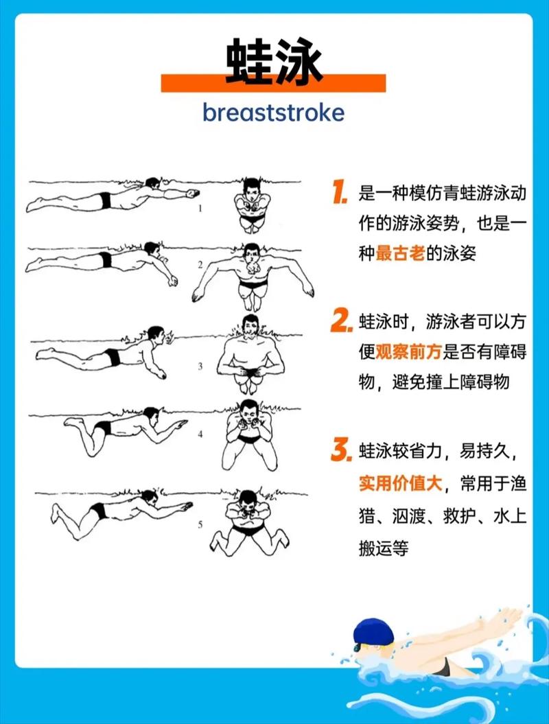 蛙泳腿怎么游才标准有力？-图3