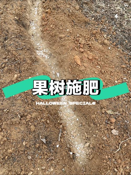 果树挖坑技巧-图1