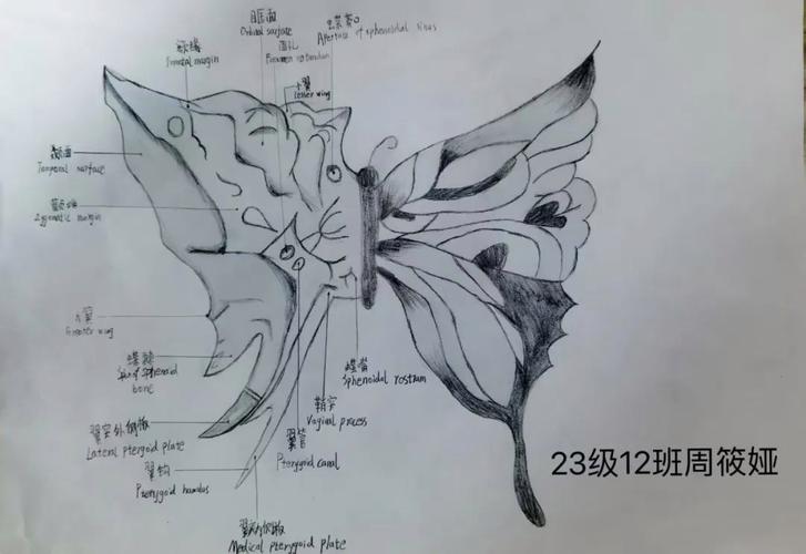 手绘创意大赛，如何玩转创意？-图2