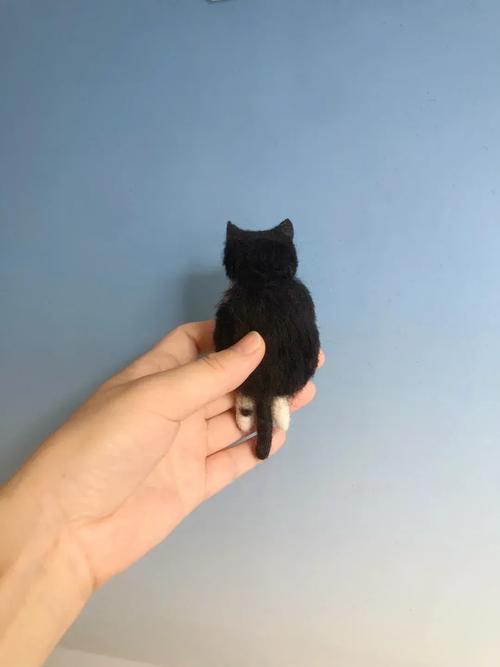 羊毛毡创意能玩出哪些花样？-图1