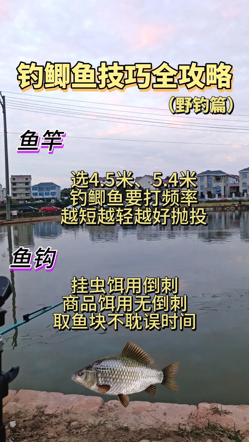 冬季鱼塘钓鱼技巧有哪些?如何提升低温天气鱼获?新手必学的冬季鱼塘钓法大全-图1 冬季鱼塘钓鱼技巧有哪些?如何提升低温天气鱼获?新手必学的冬季鱼塘钓法大全-图1