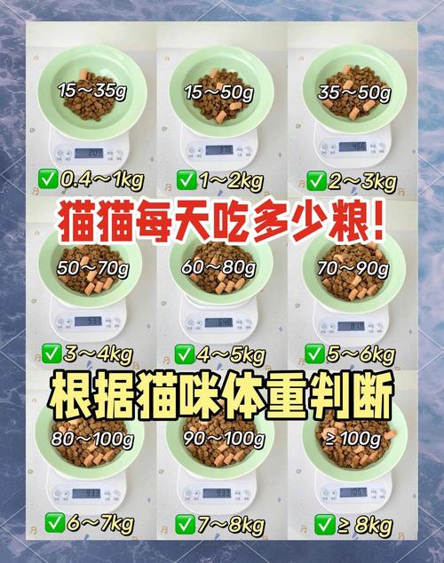 96种喂食技巧具体包含哪些实用方法？新手如何快速掌握核心教程避免喂养误区？-图2