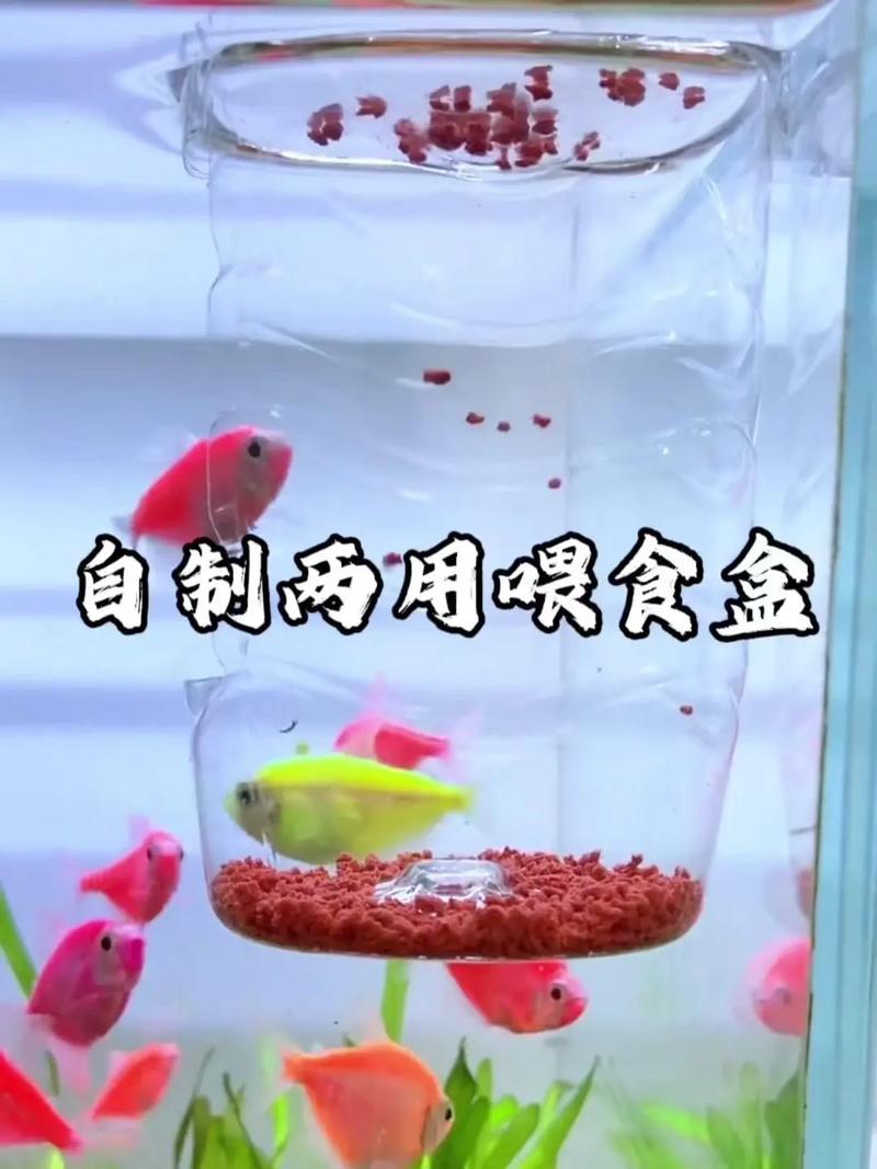 96种喂食技巧具体包含哪些实用方法？新手如何快速掌握核心教程避免喂养误区？-图3