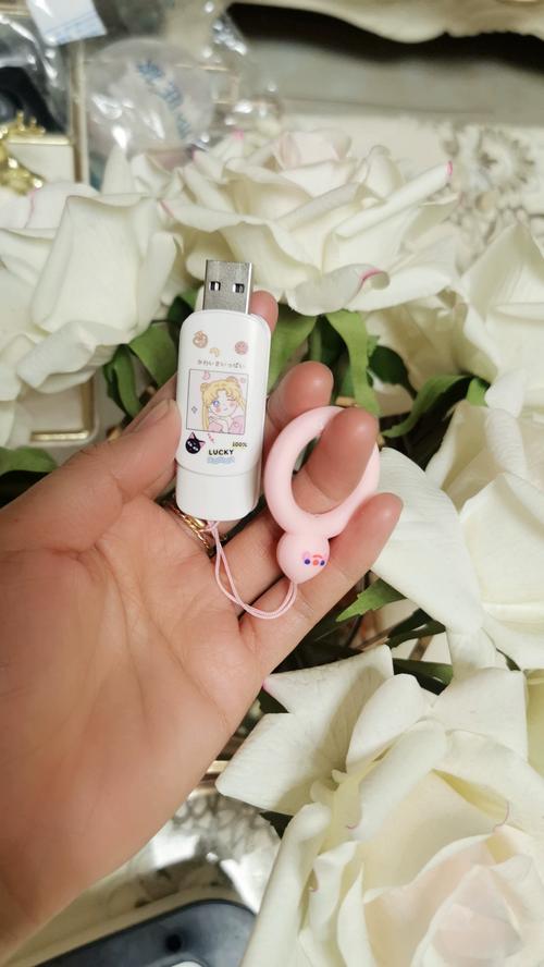 创意U盘女生设计如何兼顾实用与个性？这些独特款式真的能打动女性用户吗？-图3