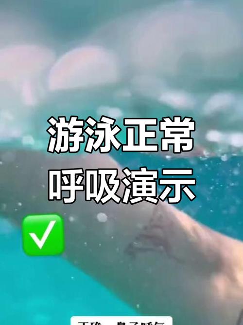 基本游泳呼吸技巧，基本游泳呼吸技巧视频-图3