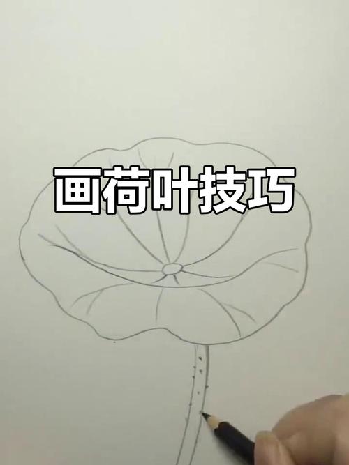 如何掌握画荷叶的技巧与步骤，让笔下的荷叶既生动又富有层次感？-图2