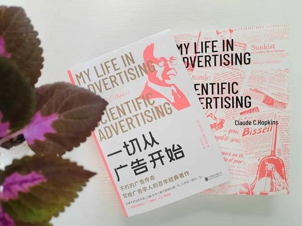 创意直邮广告-图2