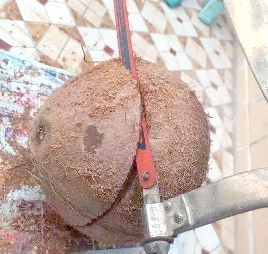 椰子能玩出哪些创意花样？-图2