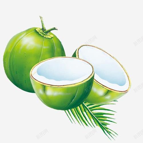 椰子能玩出哪些创意花样？-图1