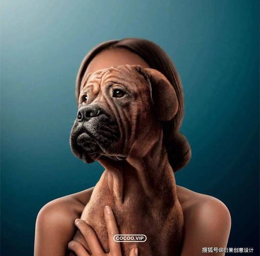 广告设计创意图片-图3