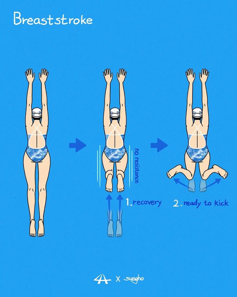 蛙泳收腿怎么做才正确高效？-图1