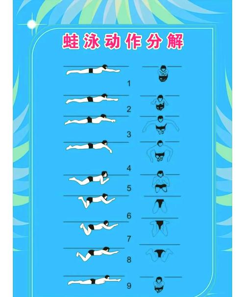 蛙泳收腿怎么做才正确高效？-图2