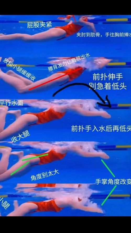 蛙泳夹水技巧怎么练才有效？-图2