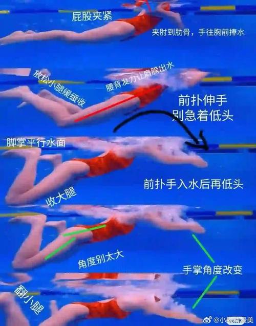 蛙泳夹水技巧怎么练才有效？-图3