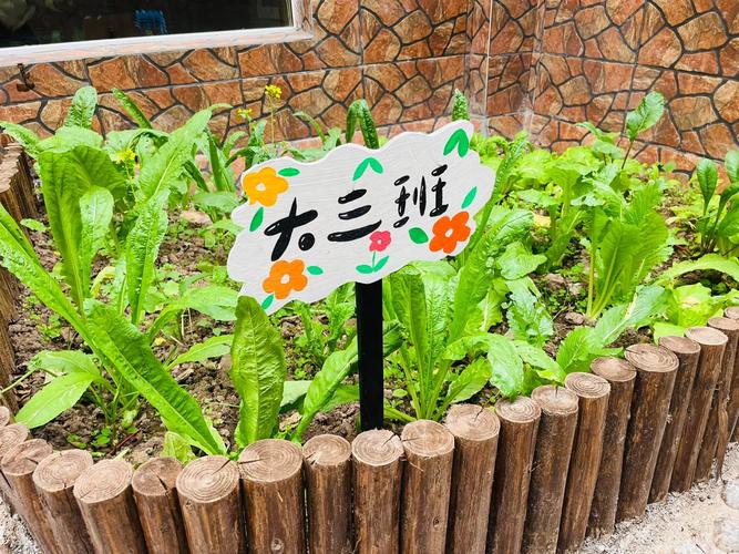 幼儿园种植区创意名，幼儿园种植区创意名称-图3