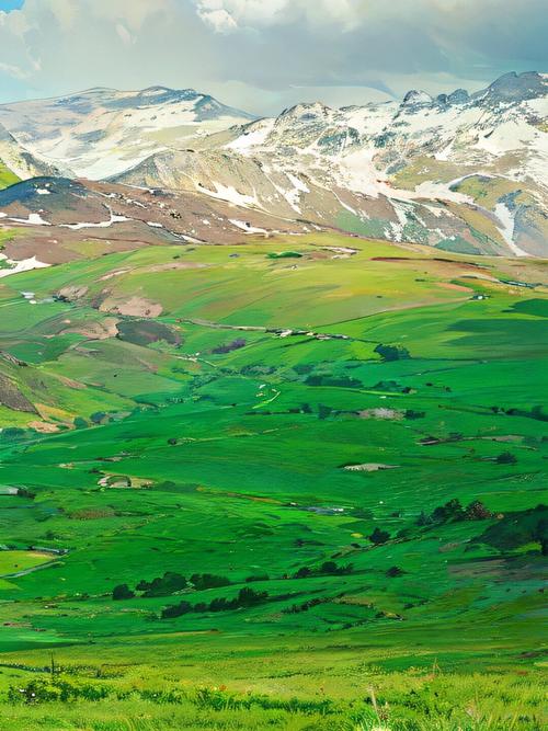 创意画草原-图3