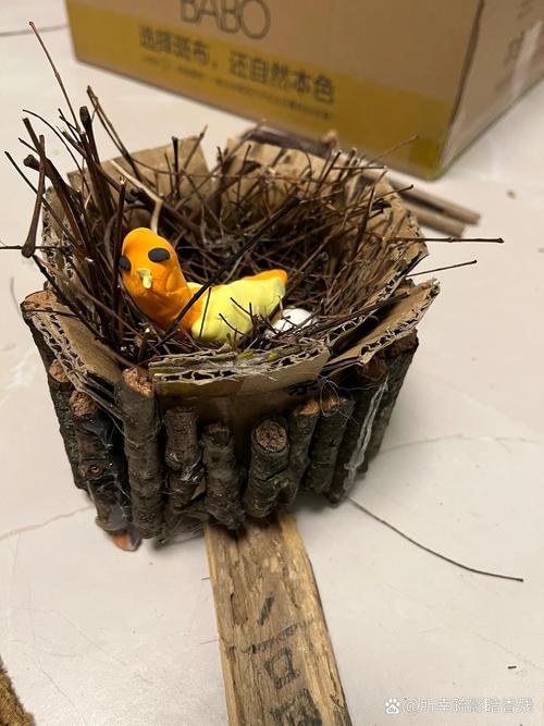 创意鸟窝,创意鸟窝手工作品图片-图2 创意鸟窝,创意鸟窝手工作品图片-图2