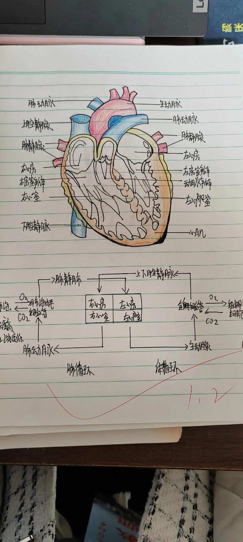 创意手绘图片如何精准解构创意内核?-图1 创意手绘图片如何精准解构创意内核?-图1