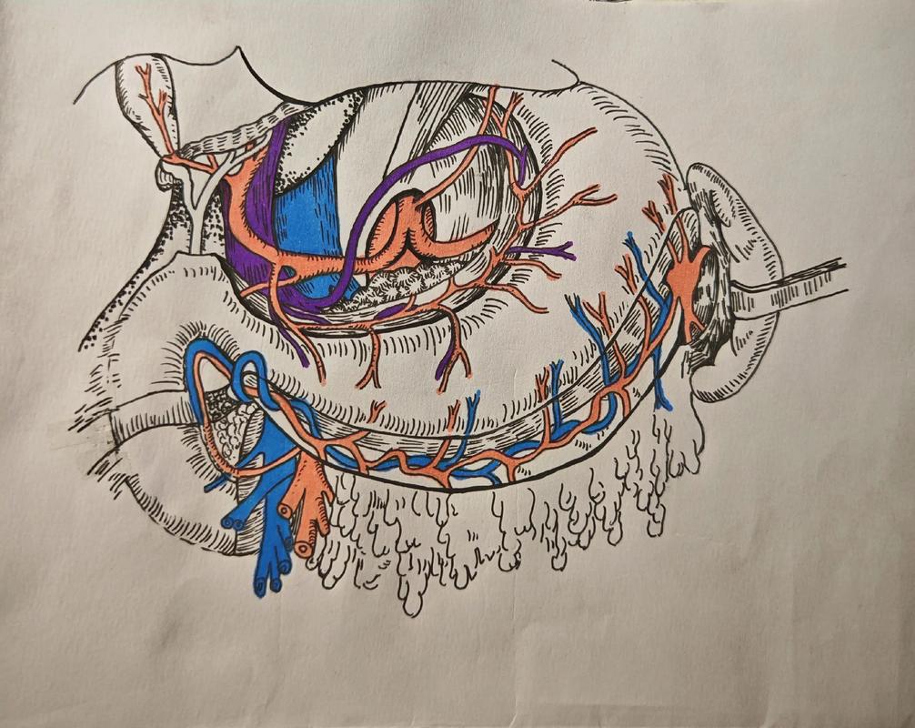 创意手绘图片如何精准解构创意内核?-图2 创意手绘图片如何精准解构创意内核?-图2