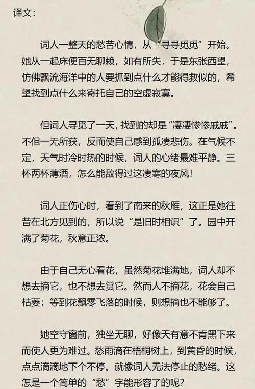 声声慢朗诵技巧有哪些核心要点?-图3 声声慢朗诵技巧有哪些核心要点?-图3