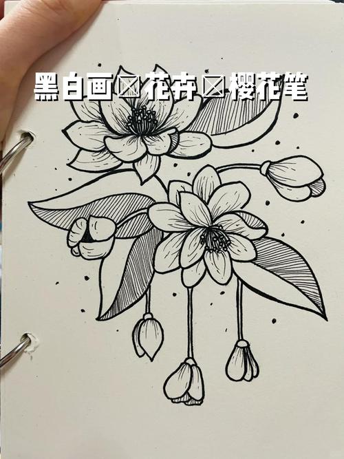 花卉创意装饰画黑白有何独特魅力?-图1 花卉创意装饰画黑白有何独特魅力?-图1