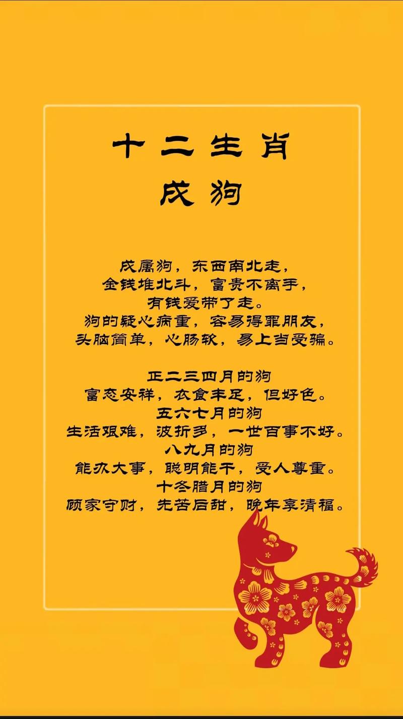 狗年创意词语有哪些?-图3 狗年创意词语有哪些?-图3