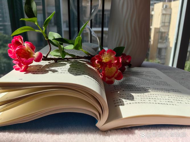 创意拍书页,拍书页图片-图1 创意拍书页,拍书页图片-图1