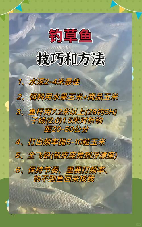 韭菜钓草鱼技巧,韭菜钓草鱼技巧口诀-图1 韭菜钓草鱼技巧,韭菜钓草鱼技巧口诀-图1
