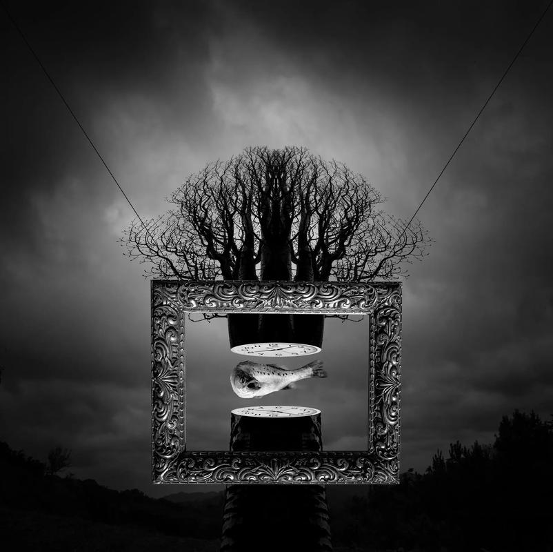 照片 创意-图1 照片 创意-图1