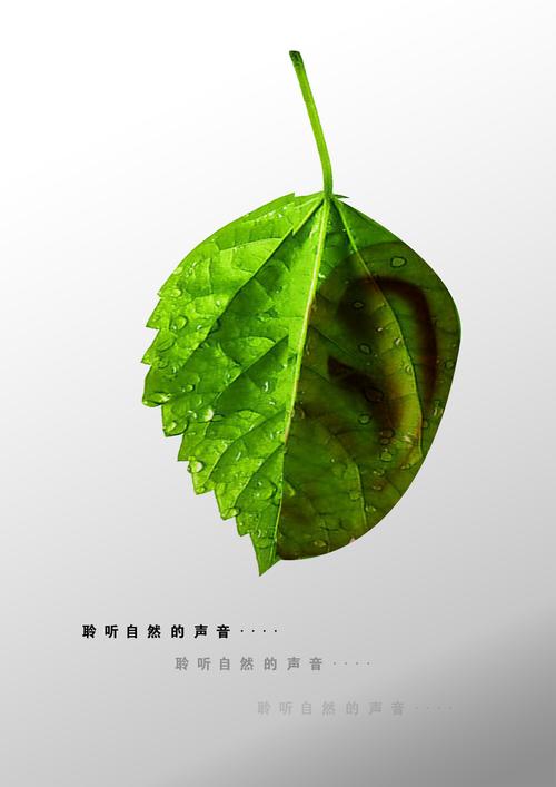 环保公益创意广告-图3 环保公益创意广告-图3