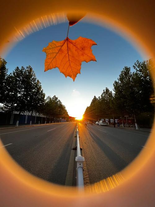 创意拍照图片-图1 创意拍照图片-图1