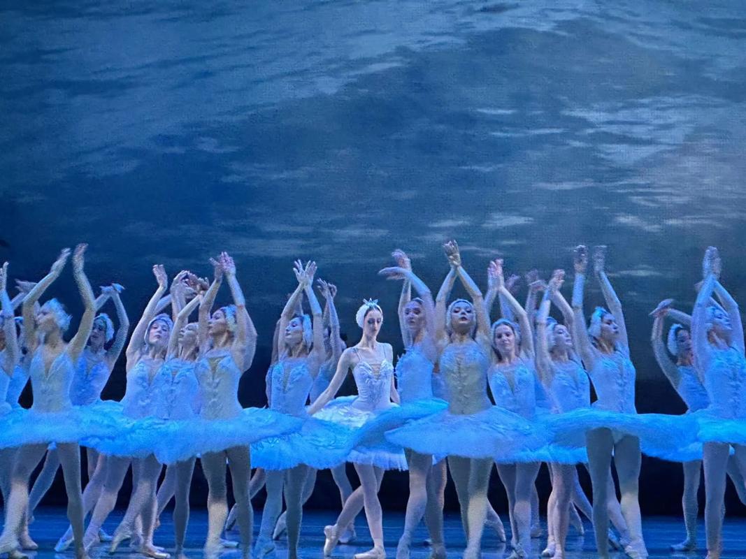 《天鹅湖》舞蹈技巧-图2