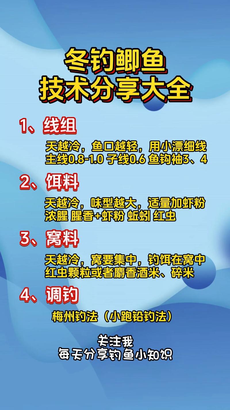 鲫鱼夜钓技巧有哪些?-图1 鲫鱼夜钓技巧有哪些?-图1