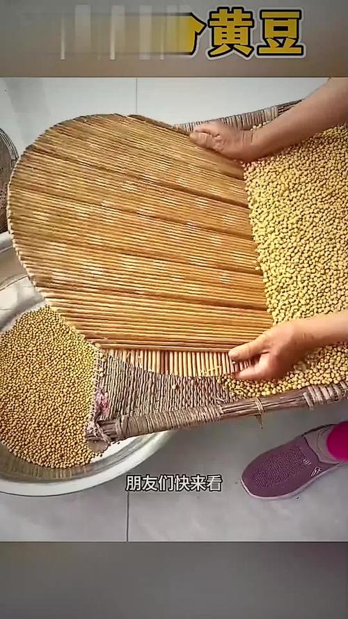 剥黄豆的技巧，剥黄豆的技巧 视频-图2