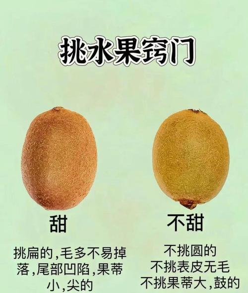 摘水果有哪些实用技巧？-图2
