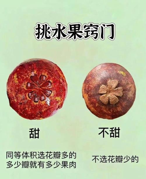 摘水果有哪些实用技巧？-图1