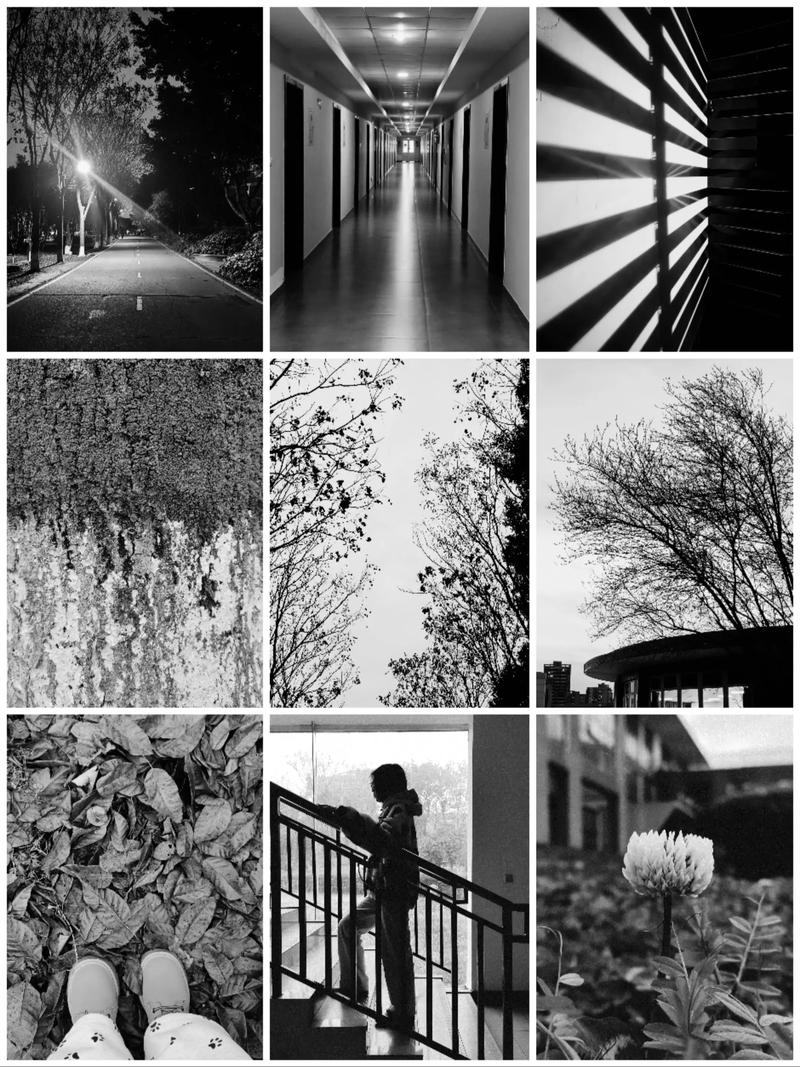 创意摄影作业的核心要求是什么？-图3